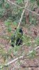 20181114_160130.jpeg