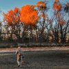 IMG_1059Small.jpg