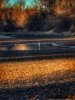 IMG_1136.jpeg