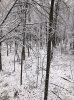 56406366591__2C05D7BB-CA36-4A15-9E0A-7EE4C210FE63.jpg