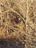 20181116_074013.jpeg