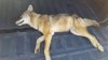 20181116_122515.jpeg