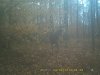 spring seep cut 11-13-18 054.JPG