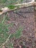 Image1542458801.907992.jpg
