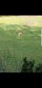 Screenshot_20181117-085617_Gallery.jpg