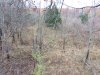 IMG_5598.JPG