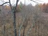 IMG_5599.JPG
