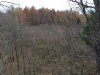 IMG_5600.JPG