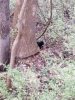 20181118_164207.jpeg