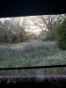 20181122_072721.jpg