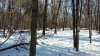 20181123_133420.jpg