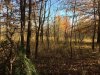 IMG_5633.JPG