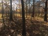 IMG_5635.JPG
