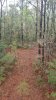 20181124_154039.jpeg