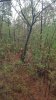20181124_154047.jpeg