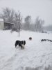 20181125_163039.jpeg