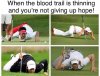 FB_IMG_1543277149842.jpeg