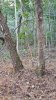 20181129_161856.jpeg