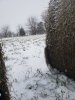 20181117_145743.jpg