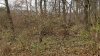 20181204_140036.jpg