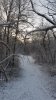 20181207_072849.jpg