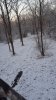 20181207_072837.jpg