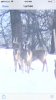 F6A707A5-AB99-455B-838F-9DAF9AB59810.jpeg