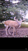DF3BA4CF-EFE0-457E-BB16-8D4335A916C6.png