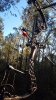 20181218_153411.jpeg
