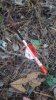20181218_165801.jpeg