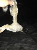 IMG_0761.jpg