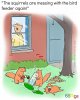 squirrels.jpg