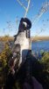20190121_155457.jpeg