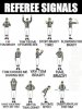 FB_IMG_1548207114506.jpg