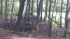 20180907_142923_resized.jpg