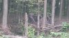 20180906_132347_resized.jpg