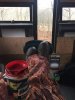 2018111102.JPG