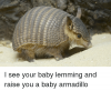 i-see-your-baby-lemming-and-raise-you-a-baby-32221205[1].png