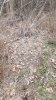 20190221_134542.jpg
