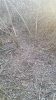 20190317_183210.jpg