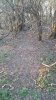 20190317_183313.jpg