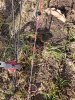 20190323_173727.jpeg