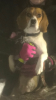 IMG_0622.PNG