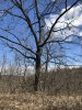 IMG_7381.JPG