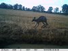 IMAG0206.JPG
