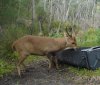 DSC02305-1.jpg