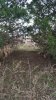 20181128_161221.jpg