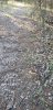 20190408_181717.jpg