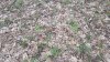 20190410_170145.jpg
