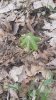 20190410_170128.jpg